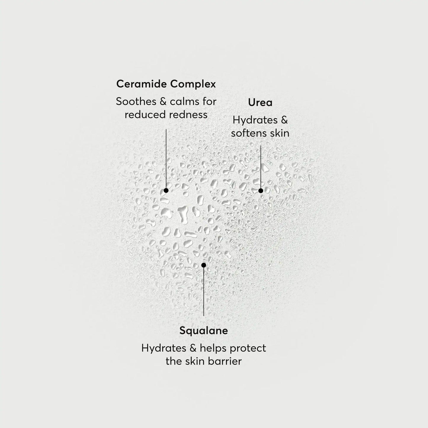 barrier-bounce-bi-phase-mist-o8 NATR-10167-Alt-Images-Barrier-Bounce-Bi-Phase-Toner-Mist_01.webp