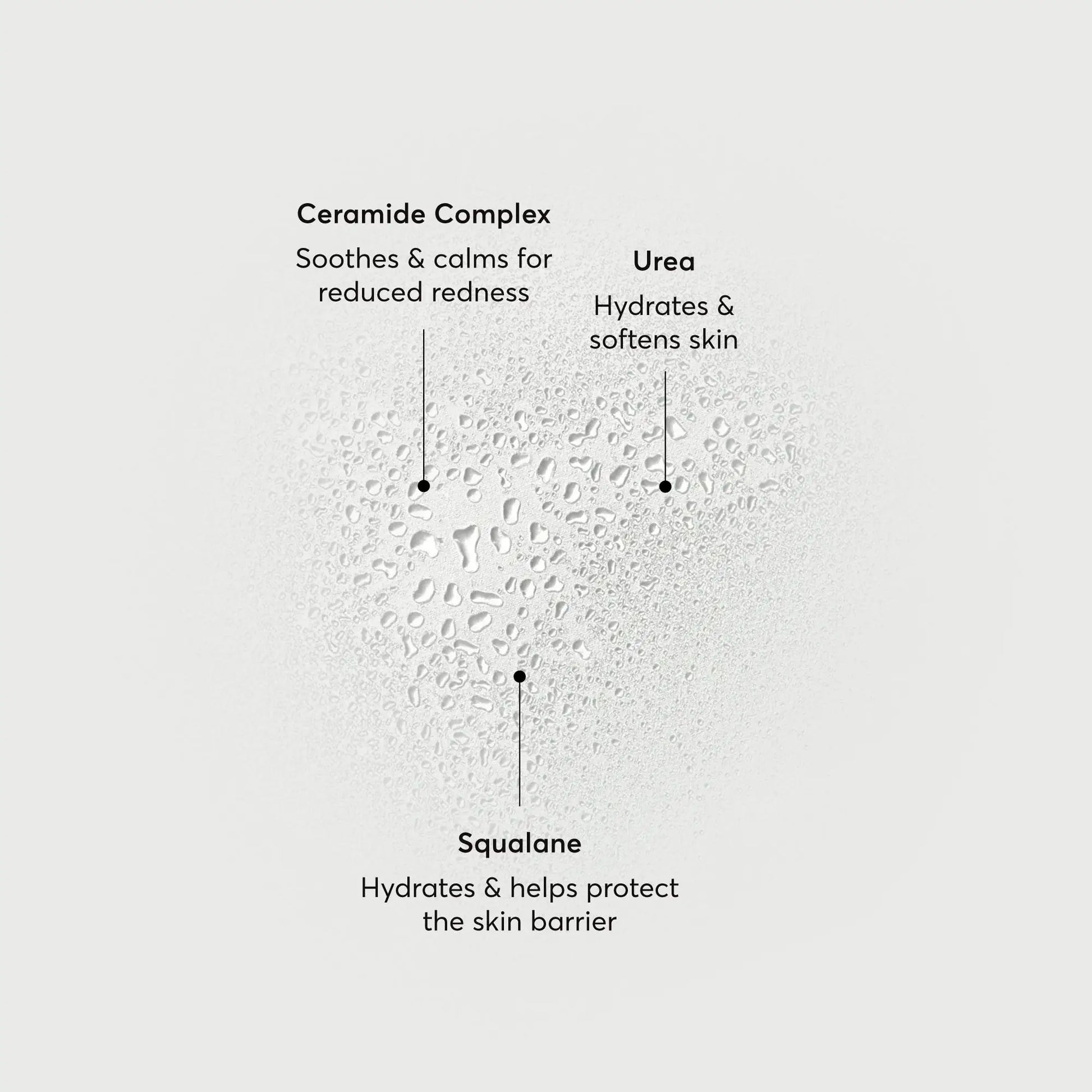 barrier-bounce-bi-phase-mist-o8 NATR-10167-Alt-Images-Barrier-Bounce-Bi-Phase-Toner-Mist_01.webp