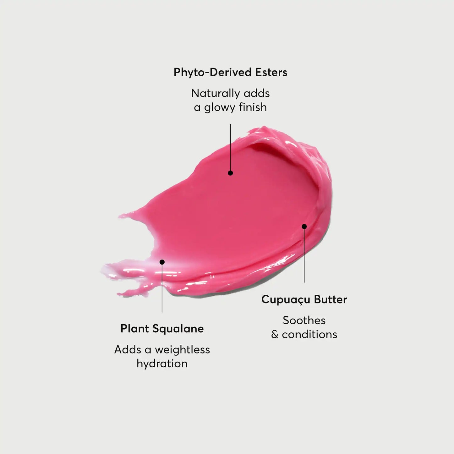 phyto-glow-lip-balm-camellia-w6 NATR-60075-Alt-Images-Phyto-Glow-Lip-Balm-Camellia-01.webp
